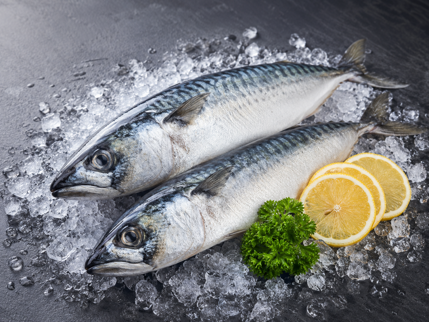Mackerel