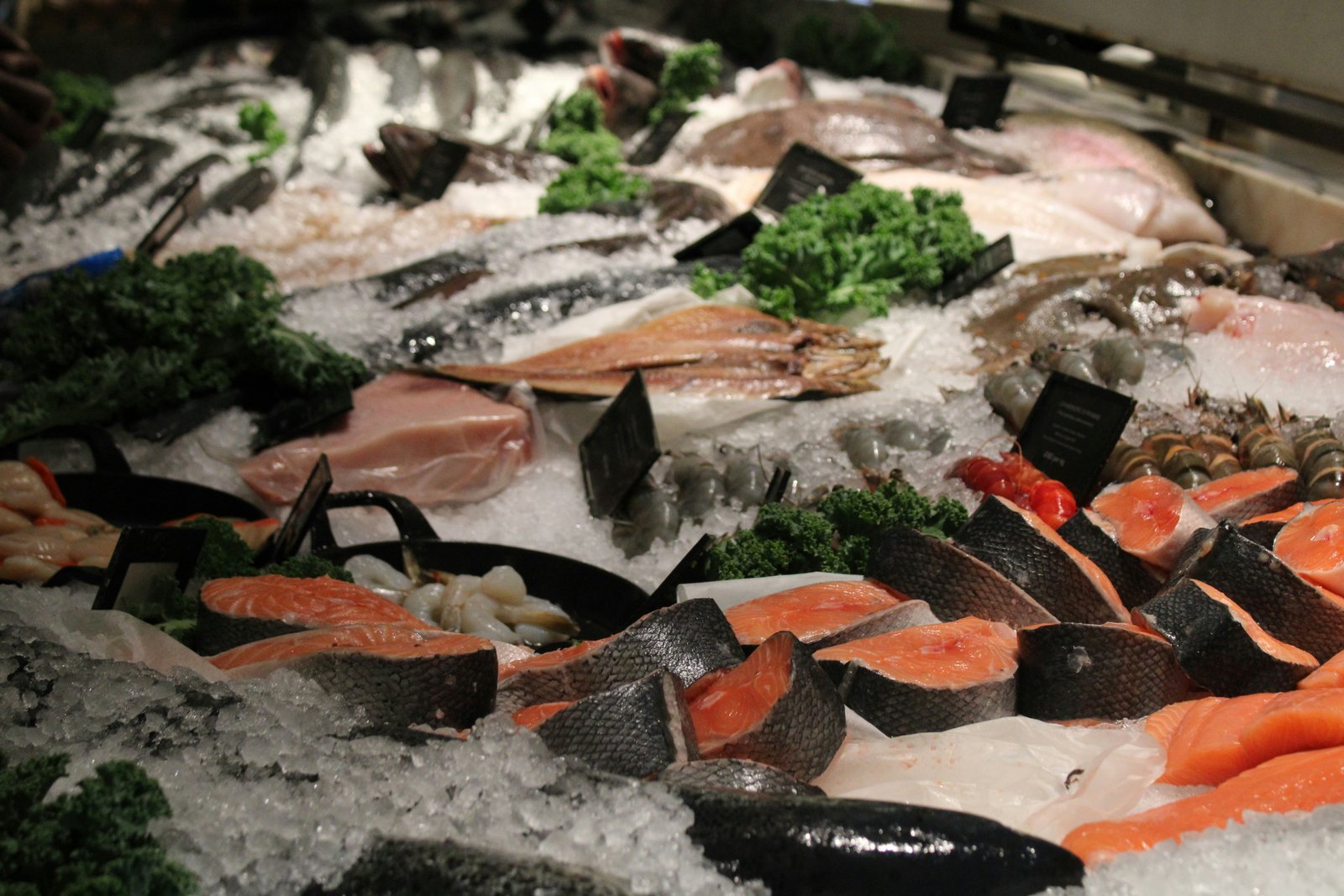 Sea food / Frozen items